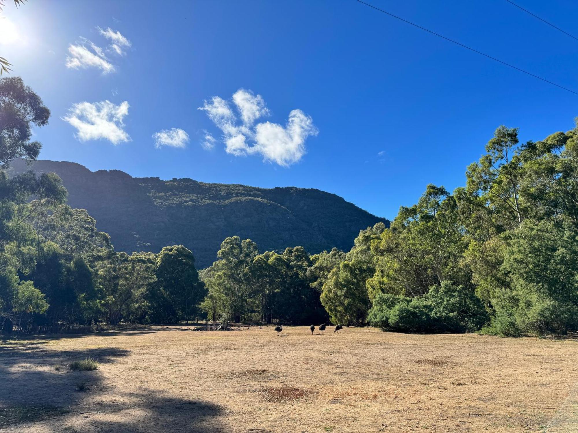 Halls Gap Log Cabins Eksteriør billede