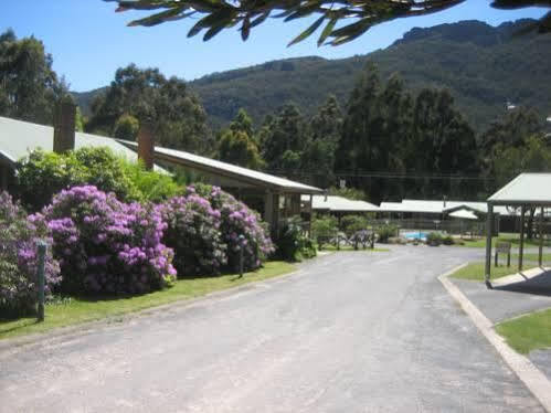Halls Gap Log Cabins Eksteriør billede